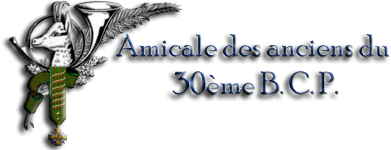 1° Bataillon Territorial de Chasseurs Alpins Ban30.2
